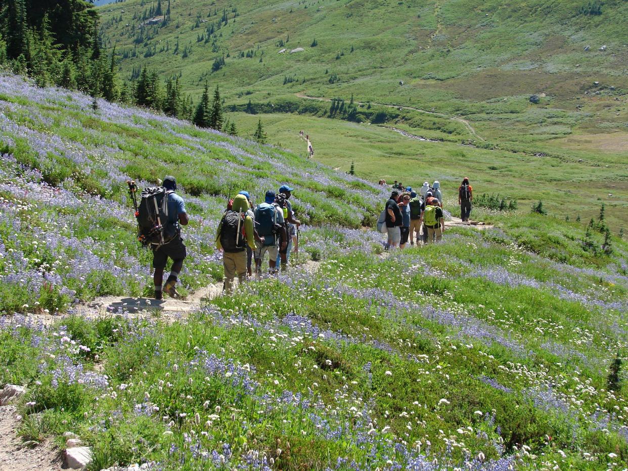 Visitors hike among the wildflowers in Mount Rainier's Paradise Meadows.