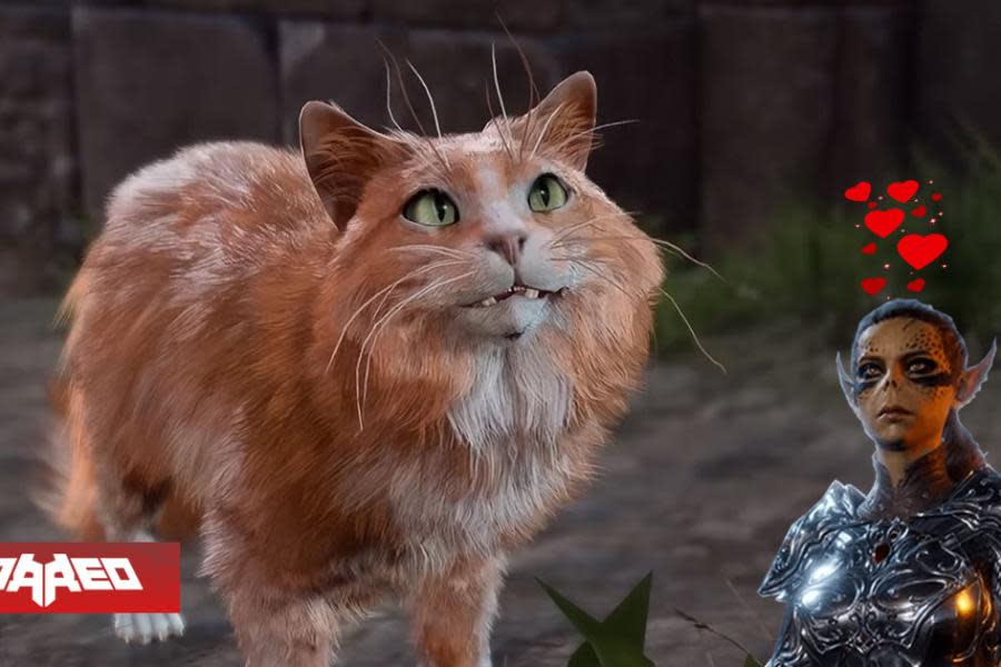 Después de 180 horas jugando Baldurs Gate encuentra misión secreta en la que debes dar un nuevo hogar a un gato callejero