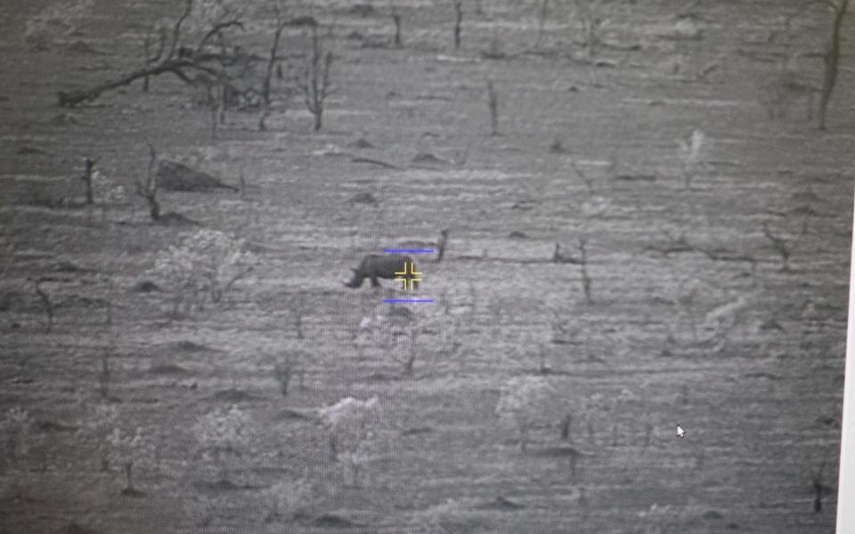 A rhino caught by the Postcode Meerkat’s camera from a distance of three miles - Credit: Martin Fletcher