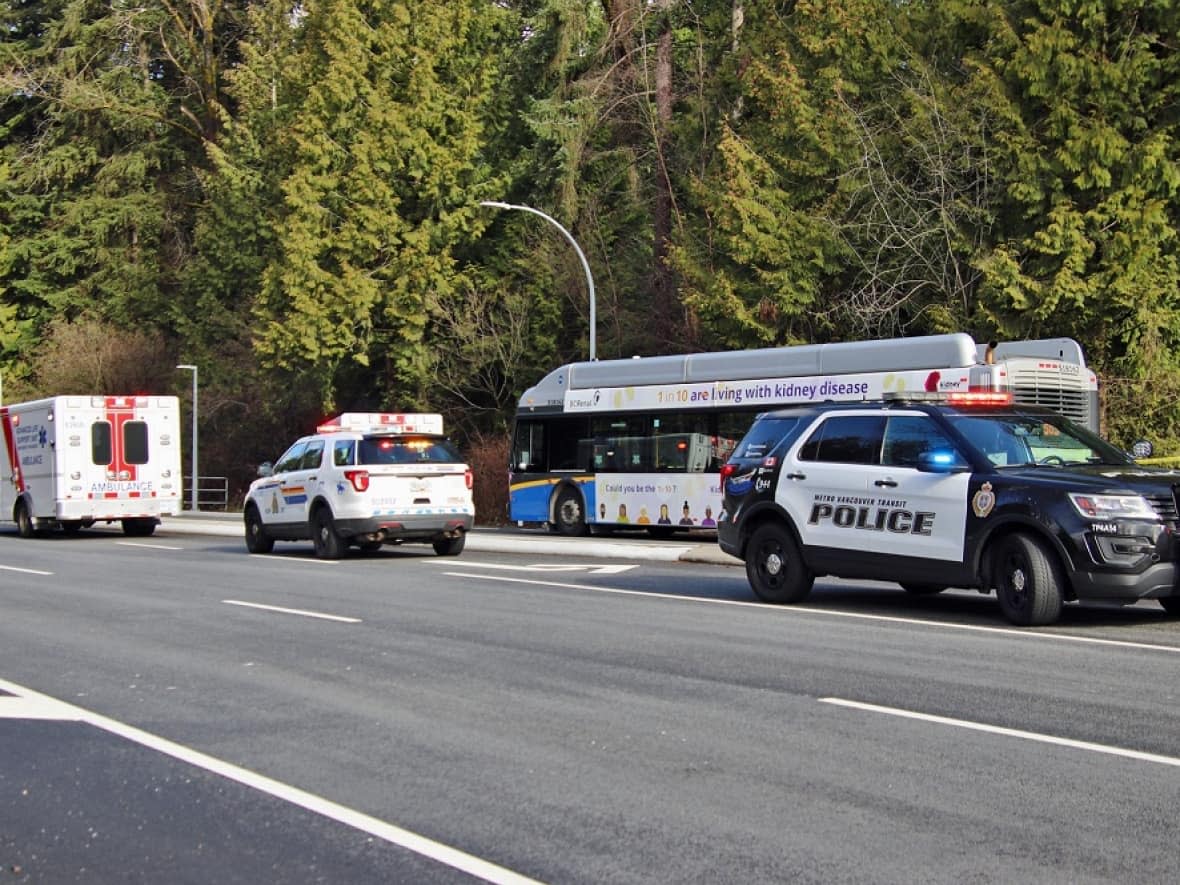 Police say a man was stabbed on a bus by another man in Surrey, B.C., on Saturday morning. (Shane MacKichan - image credit)