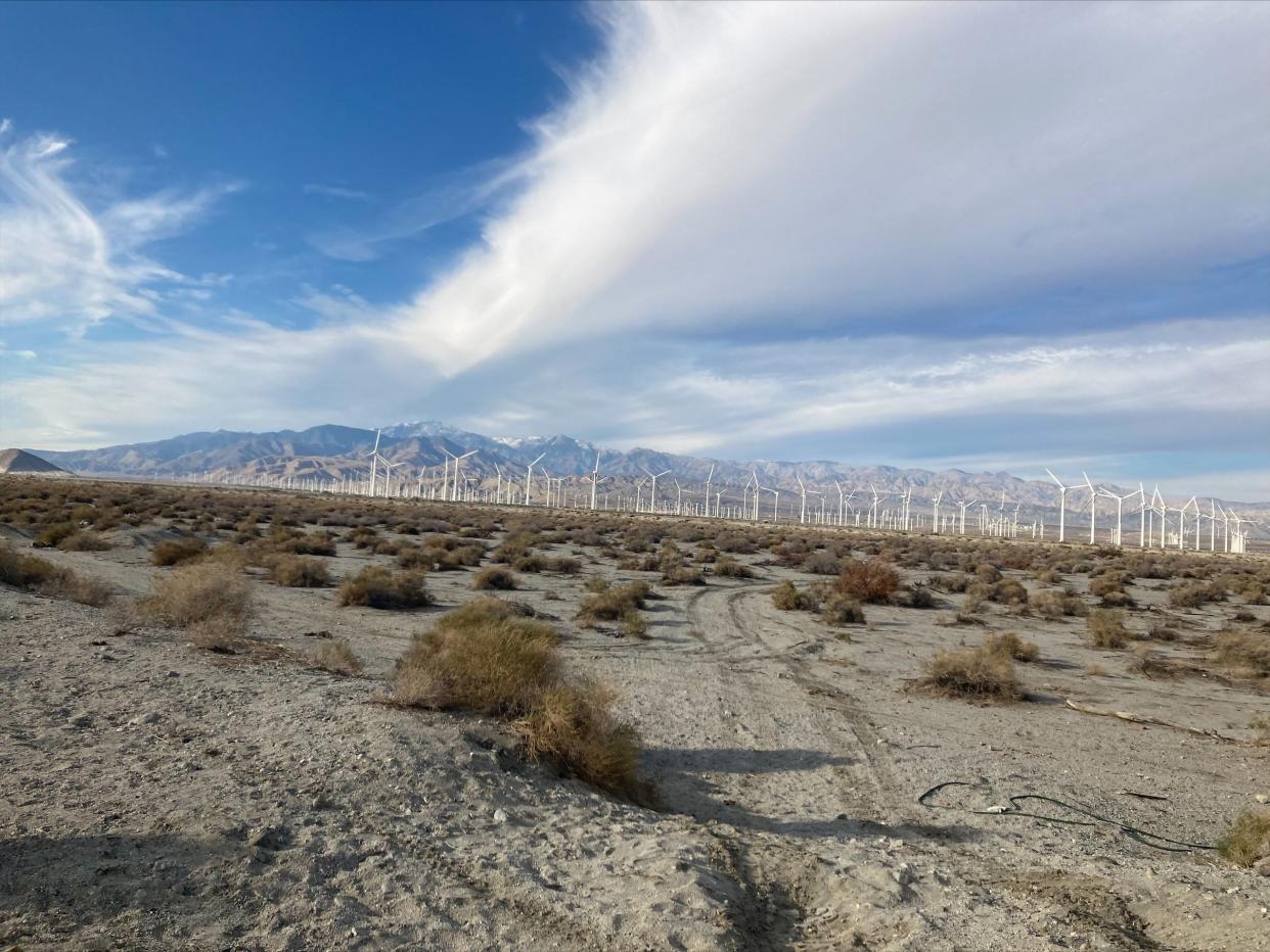 The view looking north from the James O. Jessie Park on the 119.3 acre property College of the Desert once eyed for a Palm Springs campus.