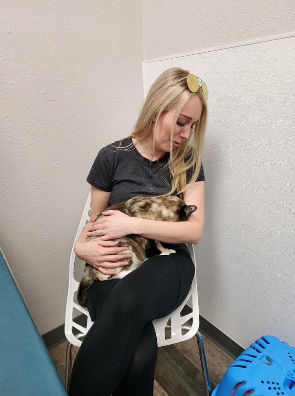 A curious cat named Galena from Utah ended up taking an unexpected trip across state lines after unsuspectedly climbing inside an Amazon package its owner returned. Carrie Stephens Clark (pictured holding Galena) said her cat went missing on April 10. 2024. Thanks to a microchip, a California vet and help from Amazon worker Brandy Hunter, the cat was safely returned home.