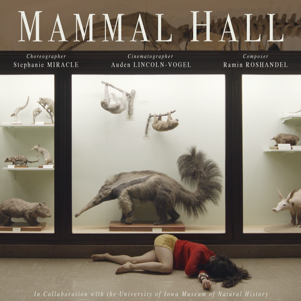 "Mammal Hall" is a short film created in collaboration with the University of Iowa Museum of Natural History, Stephanie Miracle, Auden Lincoln-Vogel and Ramin Roshandel. The film will be screened on Jan. 15 at Macbride Hall.