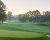 <b>Campo de Golf de Augusta </b><br><br> Tamaño: 150 hectáreas<br> Proporción de Eurovegas: 5 veces su tamaño