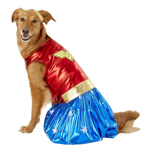 15 Large Dog Halloween Costumes Guaranteed to Be Spooktacular Fun