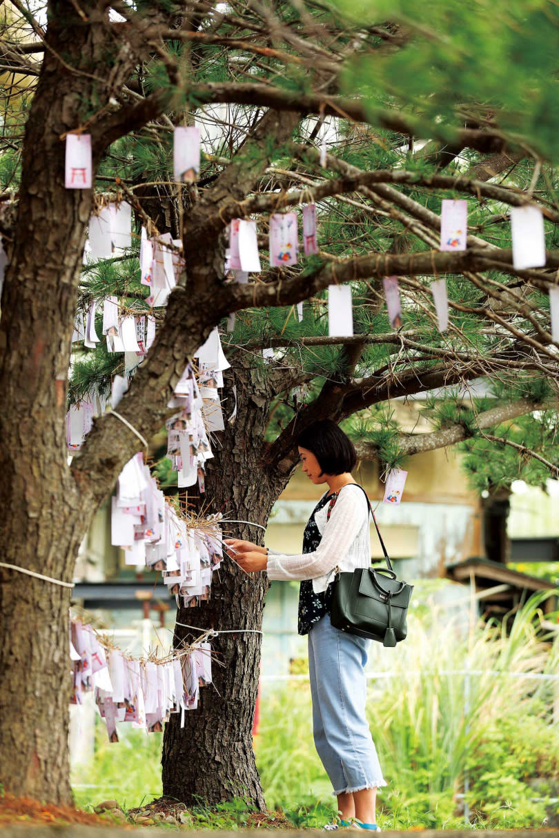 神社外有傳統日本祈願樹，洋溢日式風情。（圖／于魯光攝）