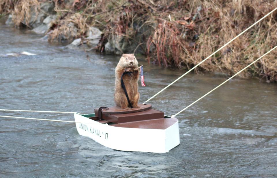 Uni the Groundhog took his 43rd trip down the Tulpehocken on Friday and gave his prediction on whether there would be six more weeks of winter, or an early spring.