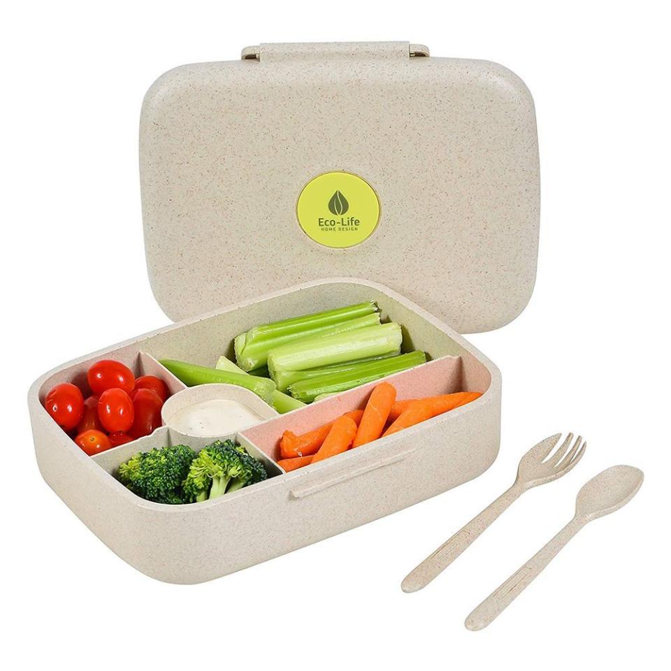 Eco-Life Home Design Bento Box