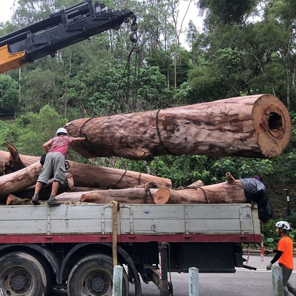 回收塌樹不是免費，找吊車及搬運的人工費用每次都要逾萬元。（香港木庫專頁）
