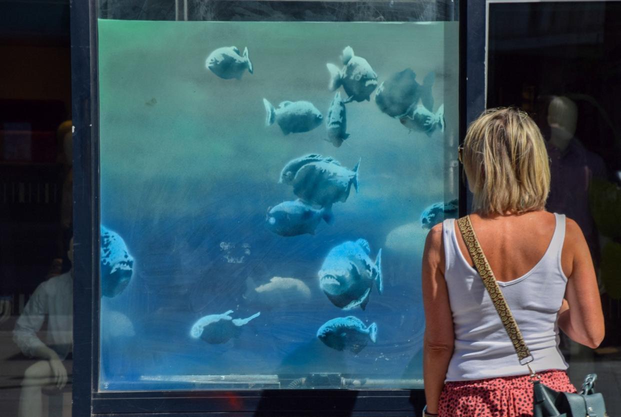 The artwork featuring the school of fish was confirmed by Bansky on social media