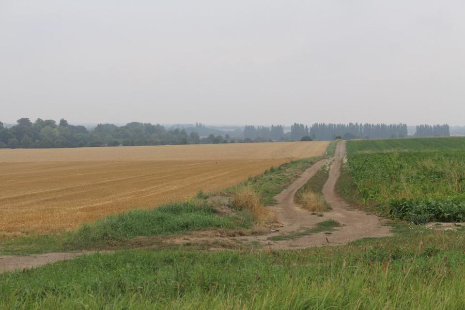 Cambridgeshire countryside Amazon visit