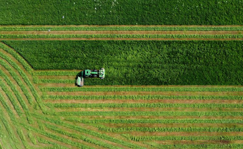 A farmer cuts grass for silage in Keele