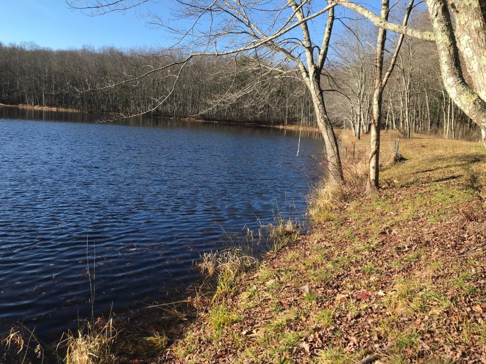 An earthen dike holds back water to create Spencer Pond at the Spencer Property, a public sanctuary in Foster.