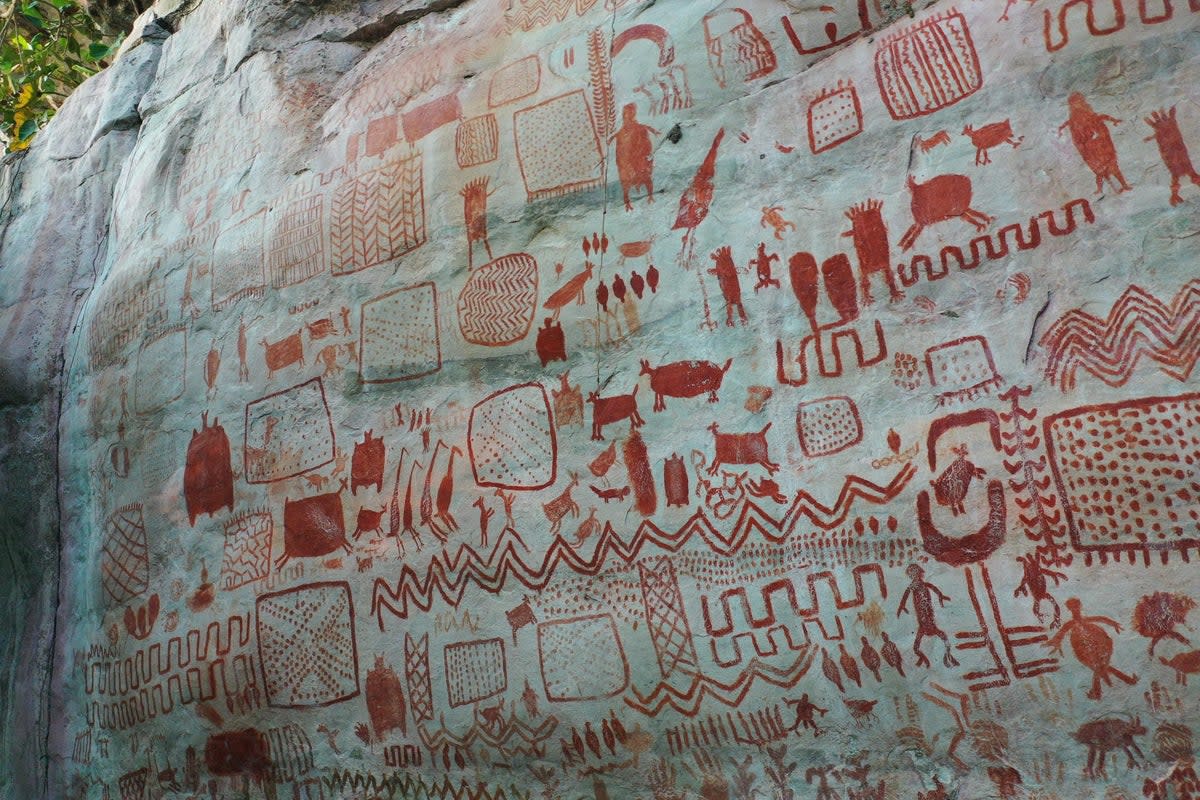 One of the panels studied as part of the Amazonian rock art project (University of Exeter)