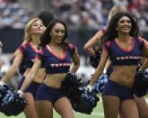 <p>The Houston Texans cheerleaders perform before an NFL football game Sunday, Nov. 27, 2016, in Houston. (AP Photo/Eric Christian Smith) </p>