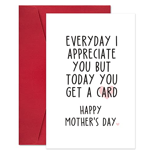 Ogeby Funny Mothers Day Card Gifts from Daughter Son, Humor Mother’s Day Card Gift for Mom, Everyday I Appreciate You but Today You Get a Card
