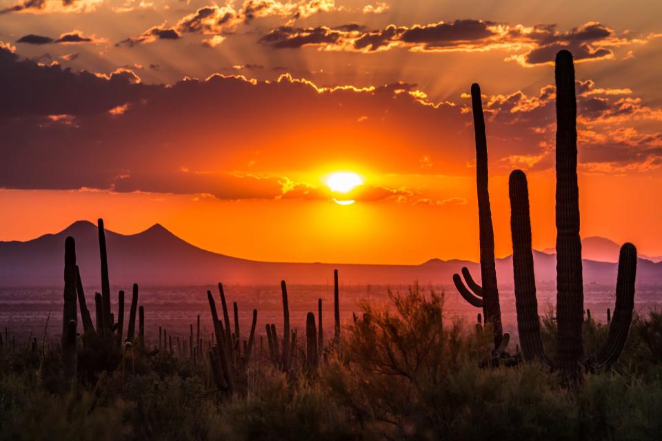 Arizona desert sunset