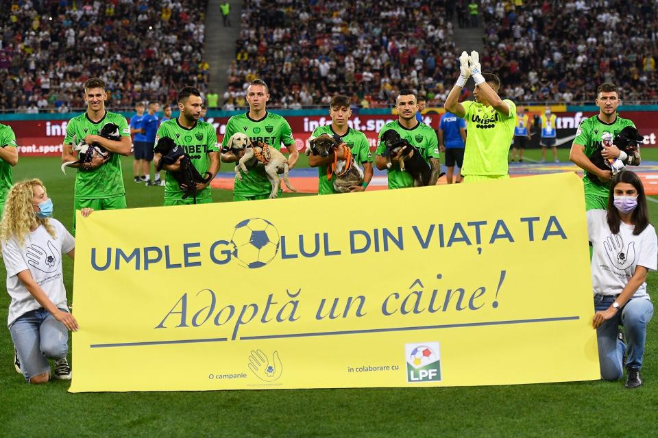 Catalin Itu, Alexandru Rauta, Deniz Giafer and Costin Amzar hold dogs in action during the Romania Liga 1 game between FCSB and Dinamo Bucharest, played on Arena Nationala, in Bucharest, on Sunday 12 September 2021.