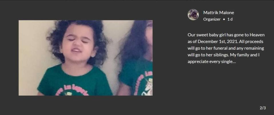 In an GoFundMe update on Wednesday, a relative of Elena Joiner informs donors of 3-year-old Elena’s death.