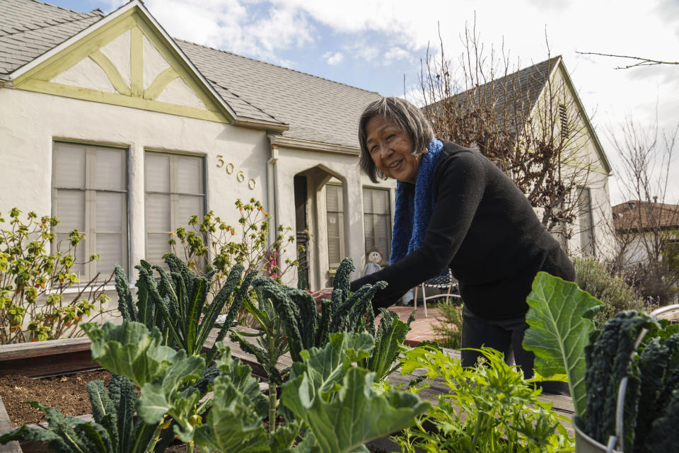 Kathy Masaoka works on her vegetable garden outside her Los Angeles home Sunday, Feb. 12, 2023. When Japanese Americans fought in the 1980s for the U.S. government to apologize to the families it imprisoned during World War II, Black politicians and civil rights leaders were integral to the movement. Those advocates are now demanding atonement for Black Americans whose ancestors were enslaved. Masaoka, who testified in 1981 for Japanese American redress and in 2021 in favor of federal reparations legislation, says they are just beginning to educate their own community about Black history and anti-Black prejudice. (AP Photo/Damian Dovarganes)