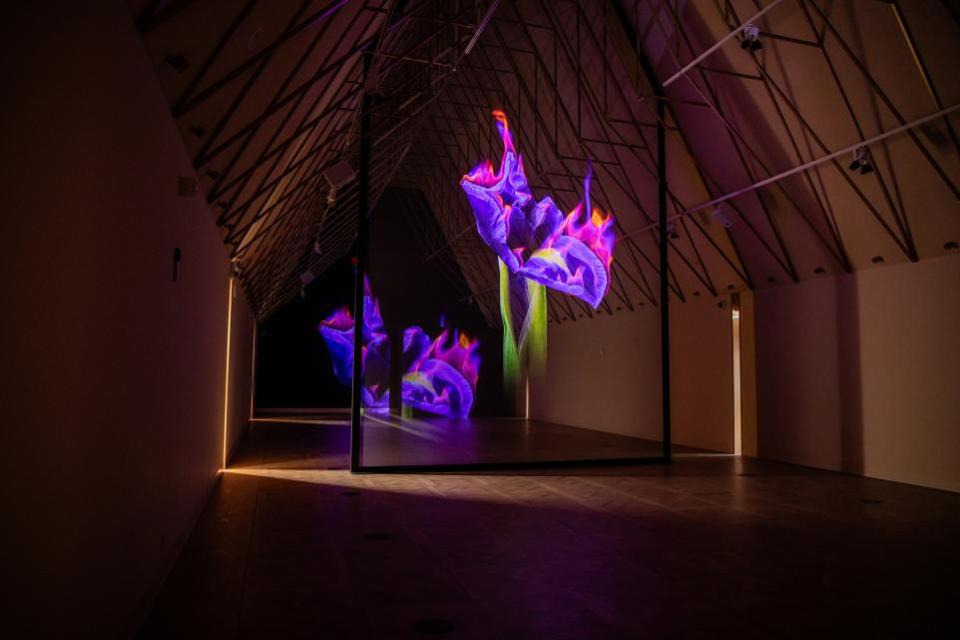 The Northern Echo: Eidolon, Mat Collishaw, The Faith Museum, Bishop Auckland (1)