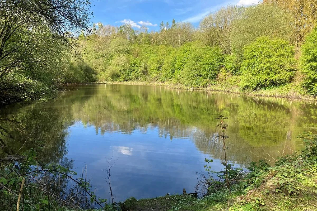 The lake in the centre of the green site off Commondale Way <i>(Image: T&A)</i>