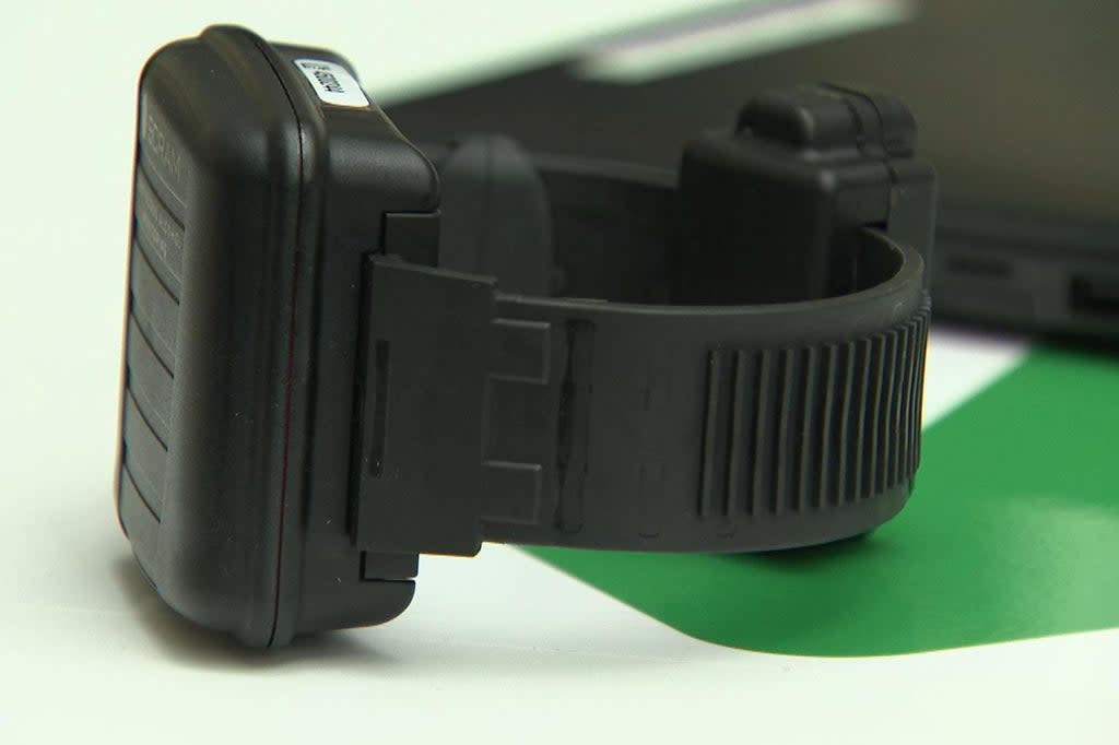 Ankle monitors are already being used on people who commit alcohol-related crimes (Sky News)