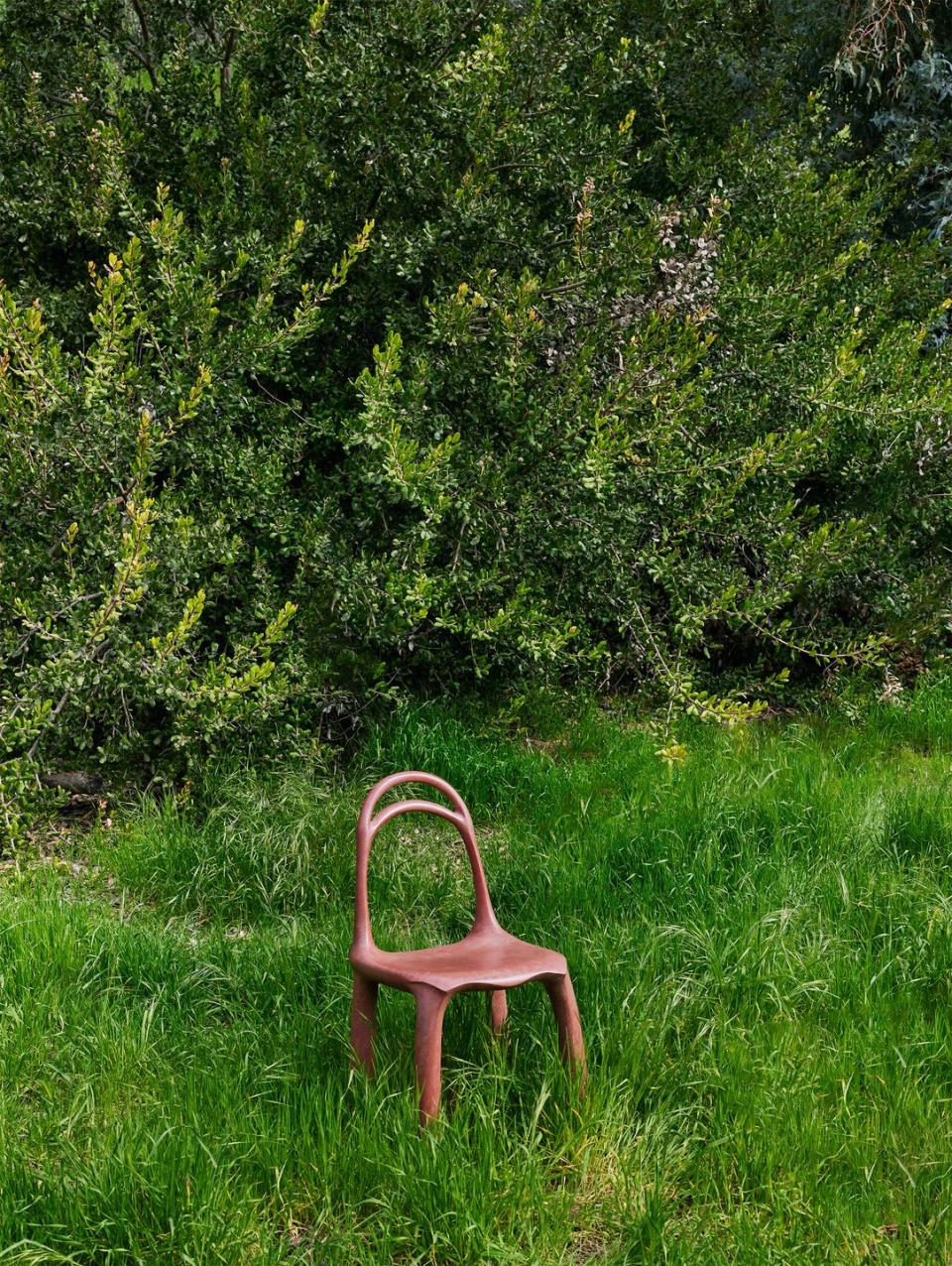 a chair in a grassy area