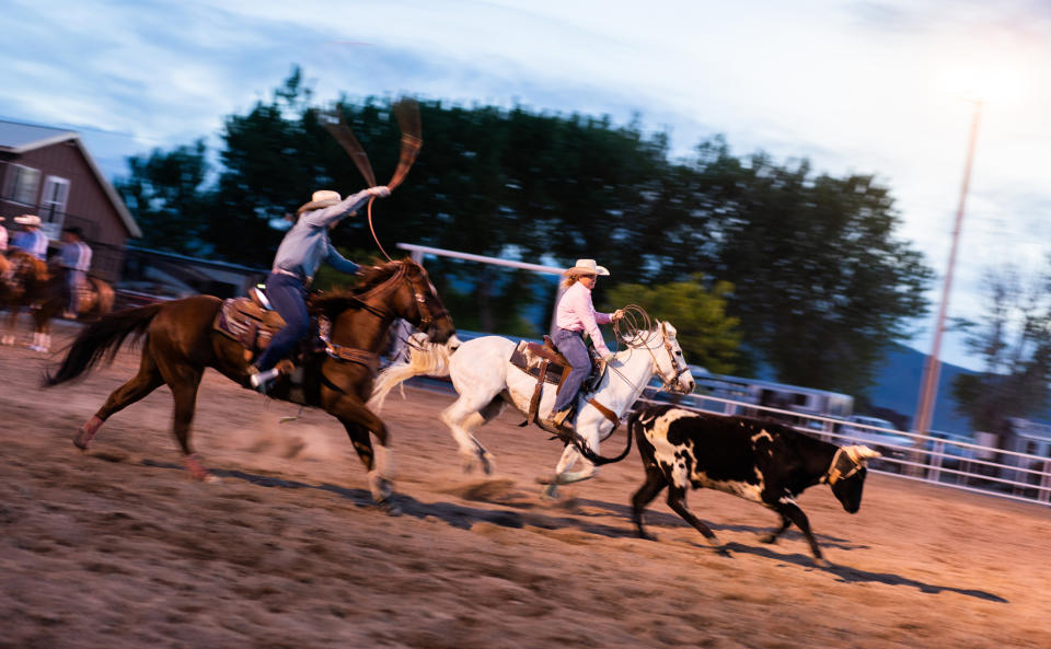 Two cowboys on horseback roping a steer at a rodeo event