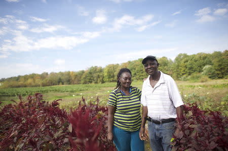 Ernestine (L), 54, and Morris Gbolo, 57, originally from Liberia, pose for a portrait on their 13-acre farm, where they grow African vegetables, in Vineland, New Jersey, October 9, 2015. REUTERS/Mark Makela