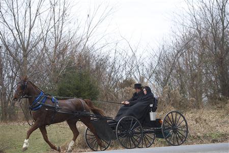 An Amish horse and buggy travels on a road in Bart Township, Pennsylvania December 1, 2013. REUTERS/Mark Makela