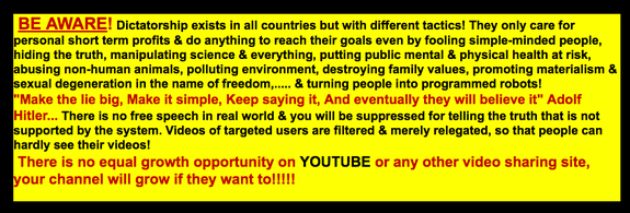 A post from Nasim Aghdam's website decrying YouTube.