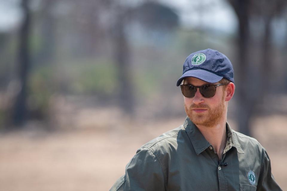 Prince Harry, Duke of Sussex watches an anti-poaching demonstration exercise at the Liwonde National Park during the royal tour of Africa (Getty Images)