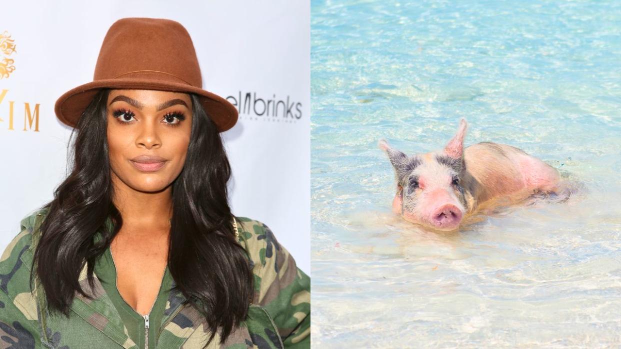 reality star Meghan James and a pig swimming on a beach