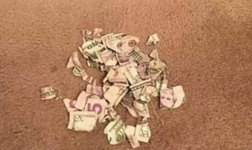 ripped up money