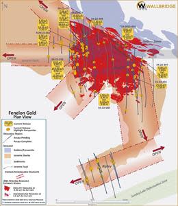 Fenelon Gold, Plan View