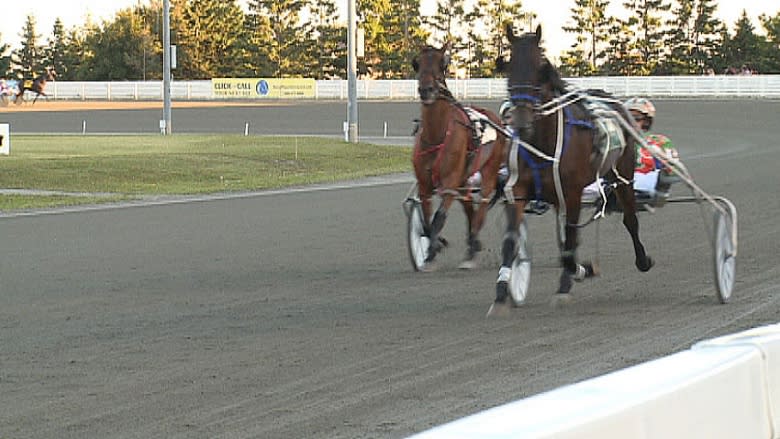 Harness racing enjoys great year at Red Shores