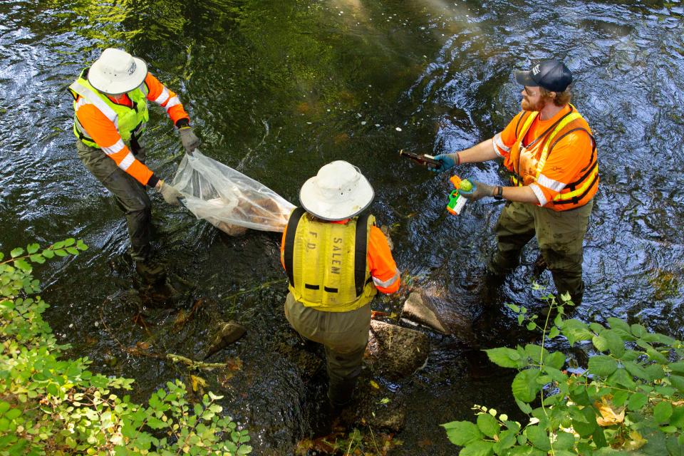 Luke Westphal, urban streamside program coordinator for the City of Salem, found a beer bottle, water gun, and a tennis ball in Mill Creek on Thursday, July 18, 2024, in Salem, Ore.