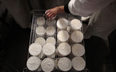 Camembert, treasured by the French, was absent from the list  - Credit: AFP