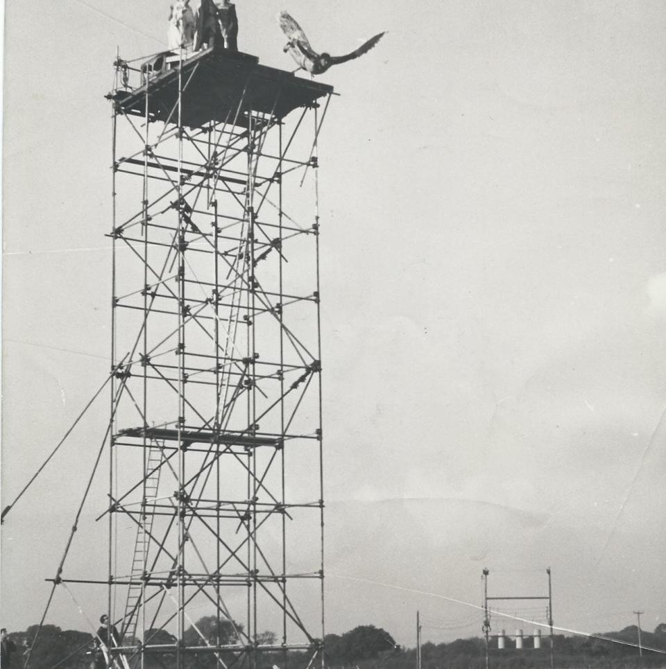 Joe Powell takes to the air in Those Magnificent Men in their Flying Machines - Penelope Reiffer