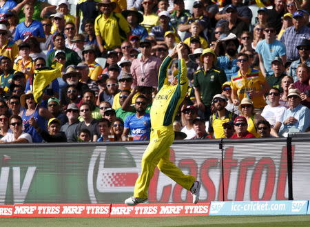 Australia's Aaron Finch leaps to catch out Pakistan's Shahid Afridi during their Cricket World Cup quarter final match in Adelaide, March 20, 2015. REUTERS/David Gray