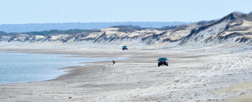 The rugged terrain of Sandy Neck Beach in West Barnstable will be the location for a sunrise walk for experienced hikers on New Year's Day through the First Day Hikes Cape Cod program.