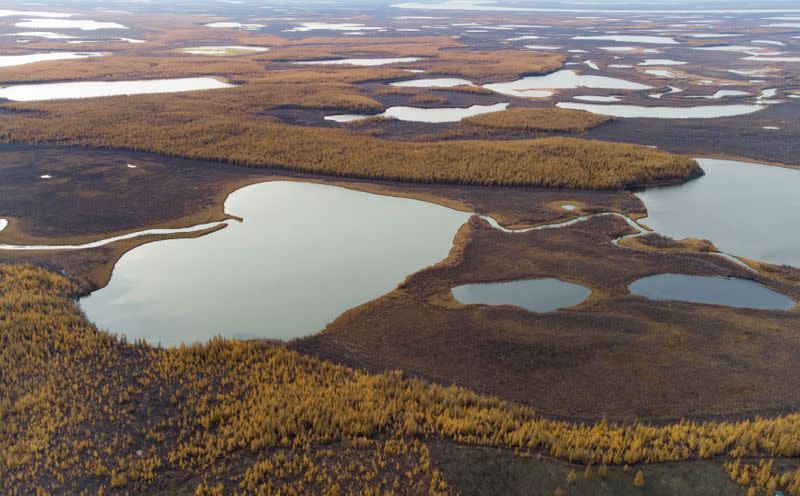 The Wider Image: A father and son's Ice Age plot to slow Siberian thaw