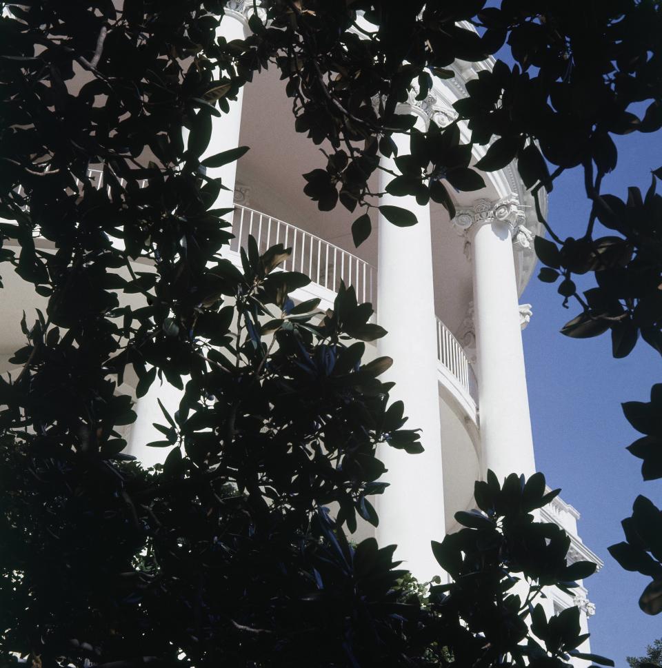 The south portico of the White House is framed by a Magnolia grandiflora planted by Andrew Jackson in memory of his wife. (Photo: Horst P. Horst via Getty Images)