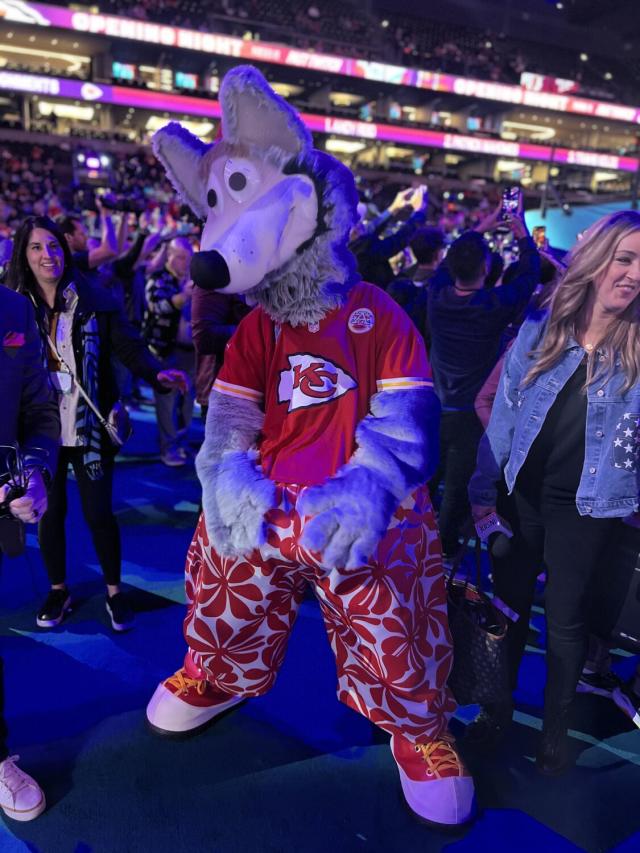 2016-KCvNOS-134, Kansas CIty Chiefs mascot KC Wolf dances w…