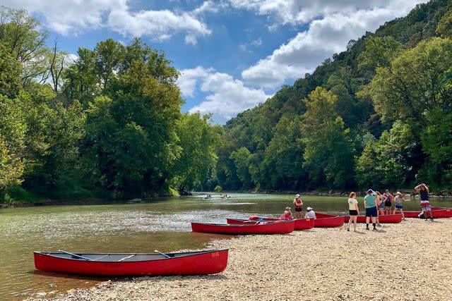 <p>Courtesy of Mammoth Cave National Park</p>