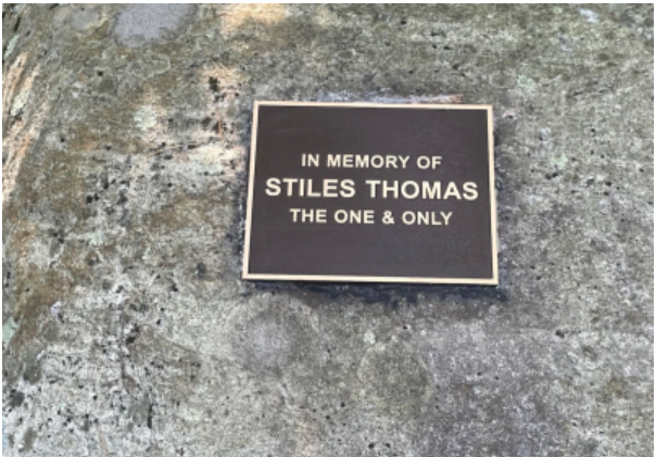 Closeup of plaque on stone honoring Marsh Warden Stiles Thomas in Celery Farm, Allendale