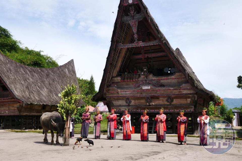 Batak族屠宰水牛時會跳祈福舞，向神明祈求牠服從，進而保佑與會的人平安順利。