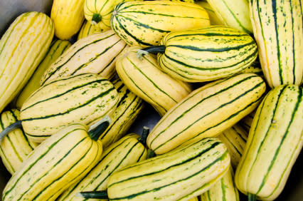 Delicata