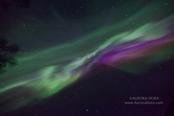Astrophotographer Dora Miller sent in a photo of an auroral display over Alaska, taken April 20, 2014. Miller is based in Talkeetna, AK.